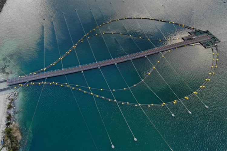 Outdoors, Aerial View, Bridge, Water, Nature