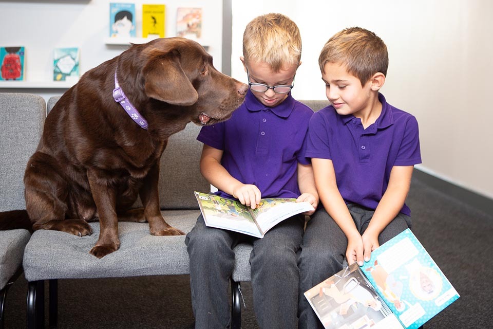 Person, Reading, Boy, Child, Male, Dog, Pet, Book, Glasses, Furniture