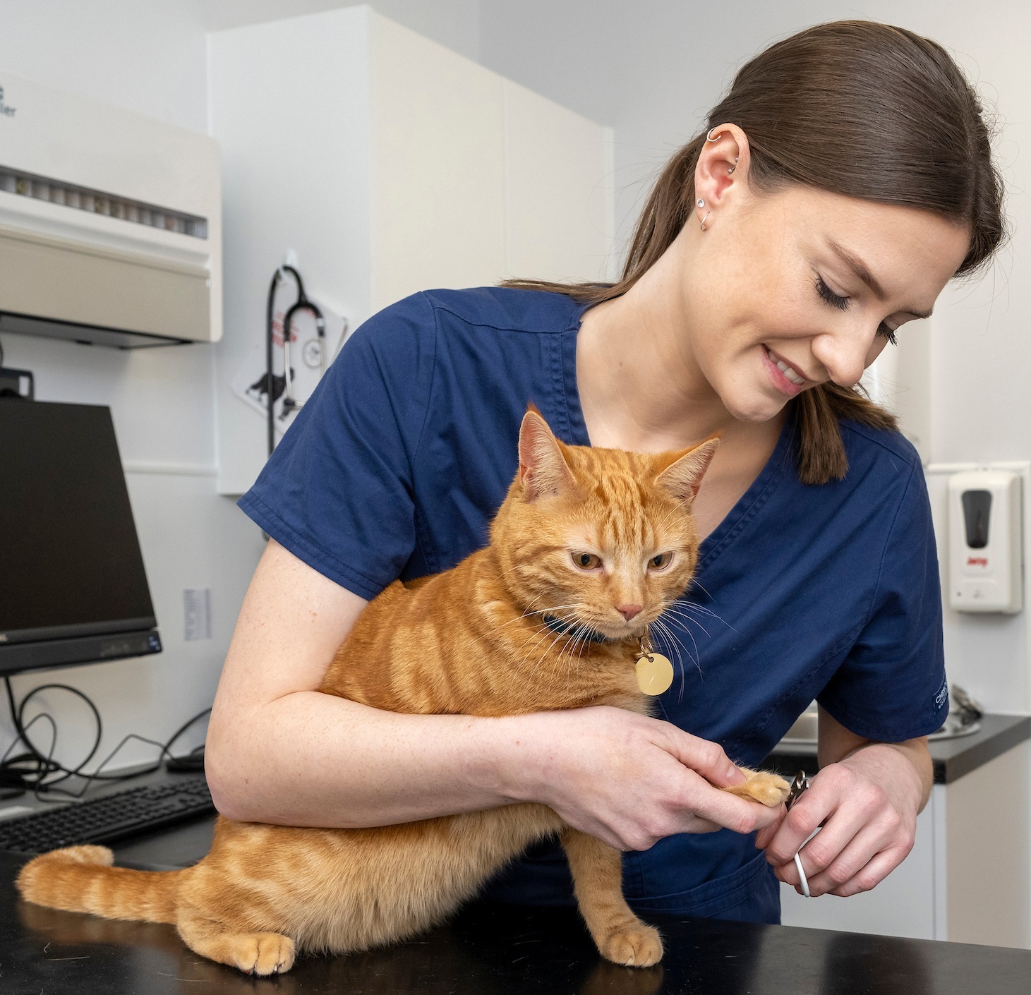 Doctor, Person, Adult, Female, Woman, Veterinarian, Cat, Bread, Laptop, Face