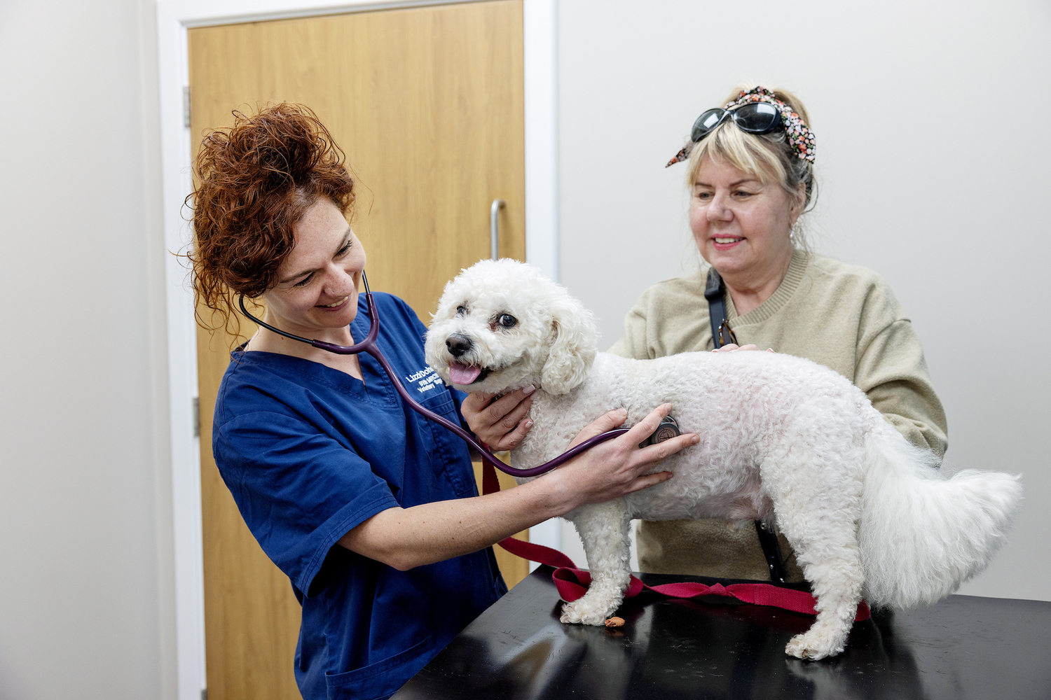 Adult, Female, Person, Woman, Doctor, Dog, Veterinarian, Face, Head, Glasses