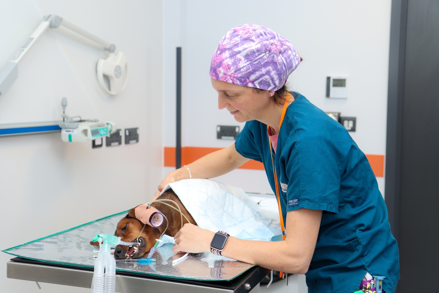 Adult, Female, Person, Woman, Bracelet, Wristwatch, Hospital, Doctor, Hat, Dog