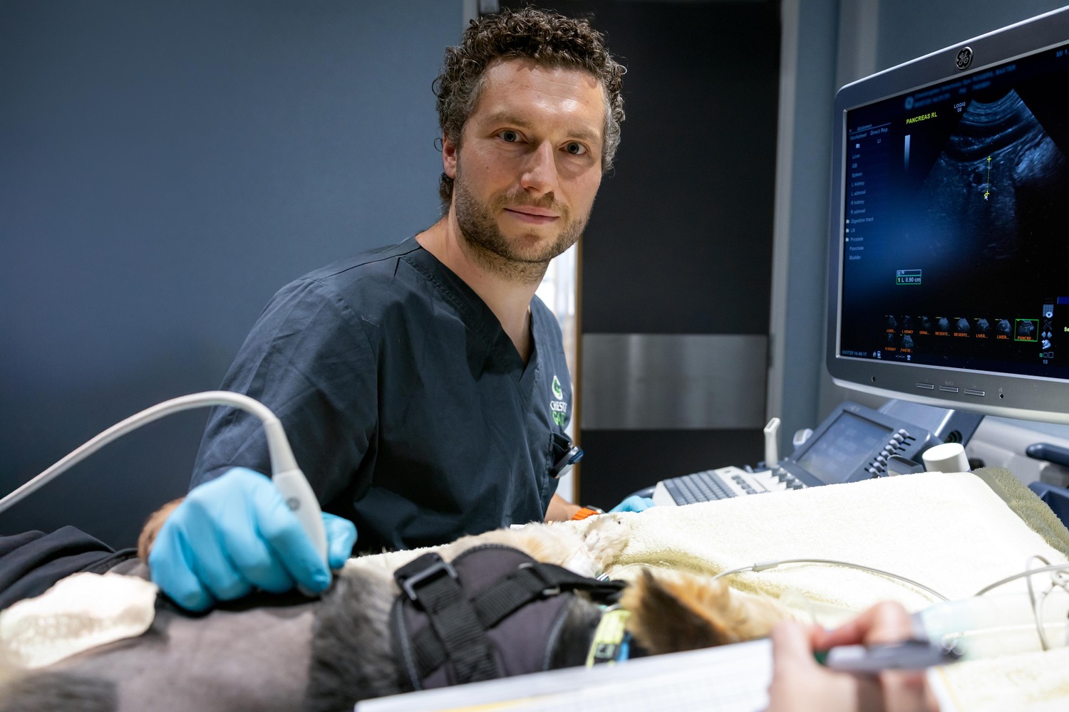 Adult, Male, Man, Person, Glove, Monitor, Glasses, Ultrasound, Laptop, Face