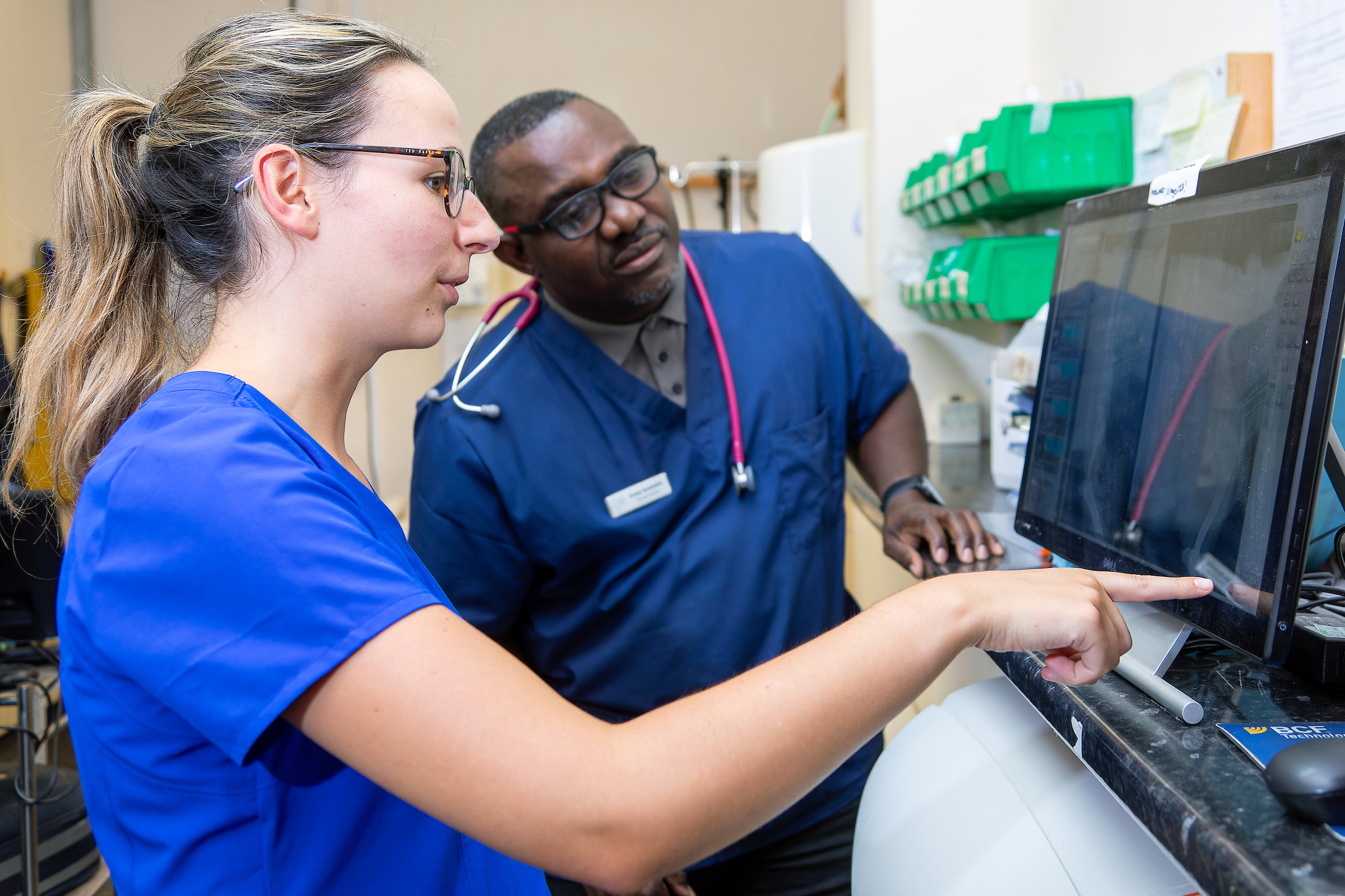 Glasses, Adult, Female, Person, Woman, Monitor, Face, Head, Wristwatch, Nurse