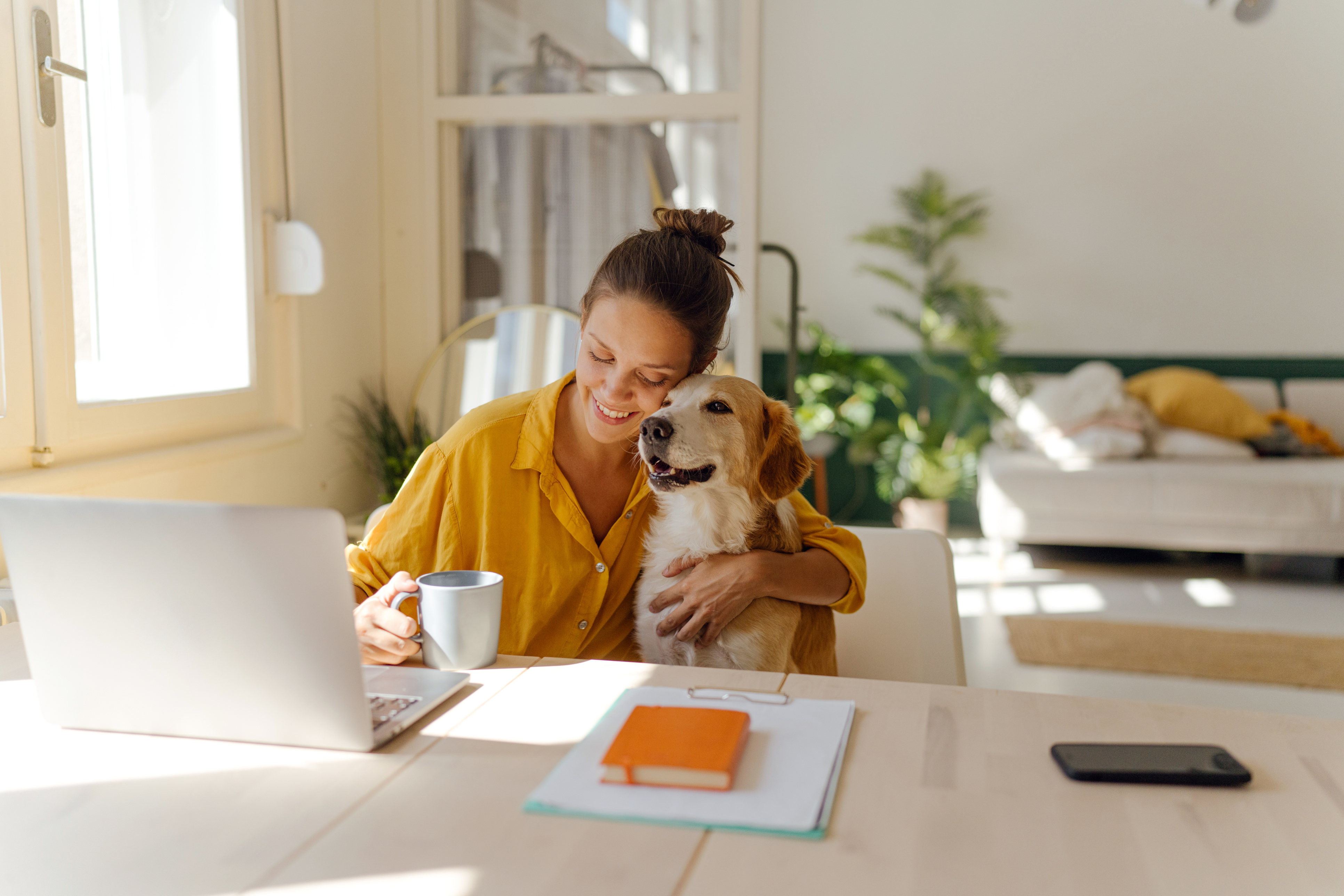 Laptop, Pc, Adult, Female, Person, Woman, Sitting, Cup, Mobile Phone, Table