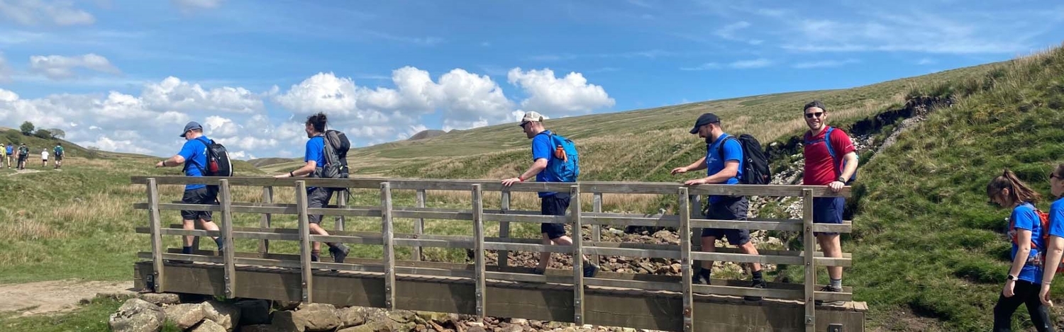 Hiking, Nature, Outdoors, Person, Bag, Backpack, Backpacking, Wristwatch, Hat, Walking