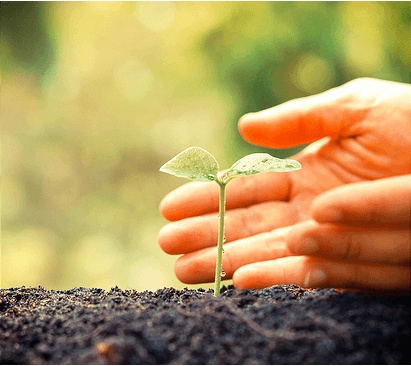 Soil, Finger, Hand, Person, Plant, Planting, Sprout, Outdoors, Garden, Nature