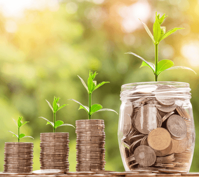 Plant, Jar, Money, Coin