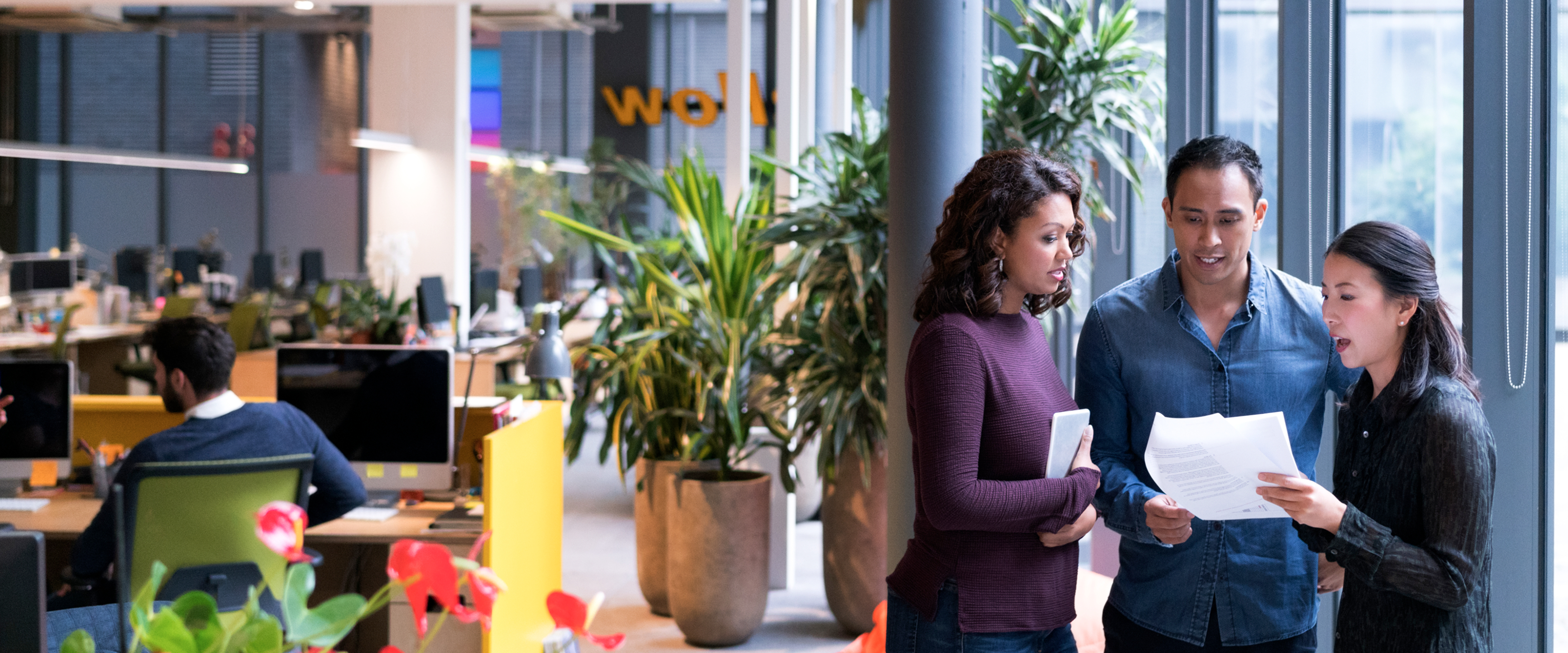 Adult, Female, Person, Woman, Male, Man, Plant, Monitor, Head, Face