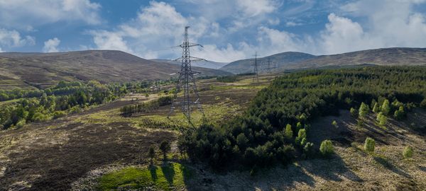 Cable, Fir, Tree, Power Lines, Utility Pole, Electric Transmission Tower, Nature, Outdoors, Scenery, Vegetation