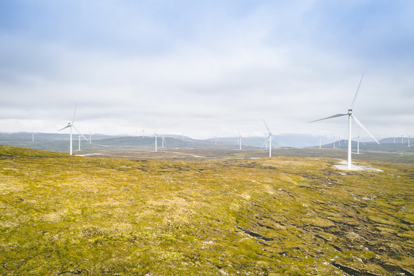 Machine, Motor, Engine, Outdoors, Windmill, Turbine, Wind Turbine, Grass, Plant