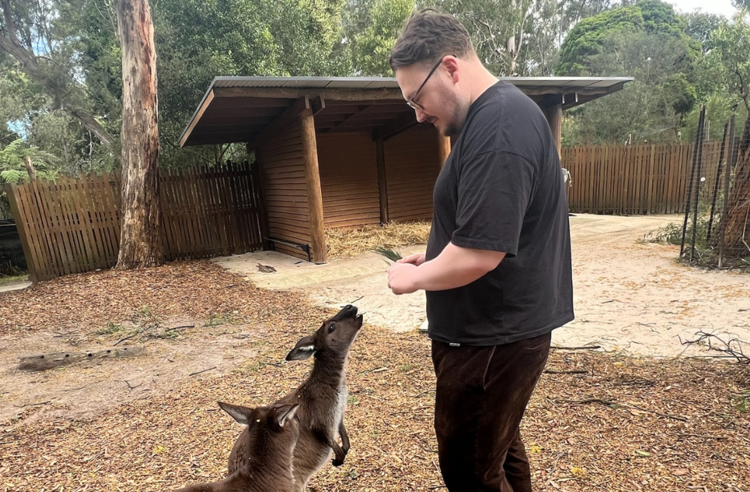 Tom meeting the local fauna in Melbourne 
