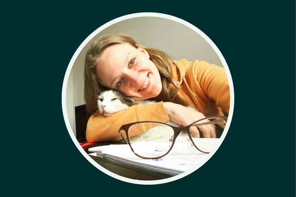Accessories, Glasses, Photography, Face, Head, Person, Portrait, Cat, Pet, Kitten