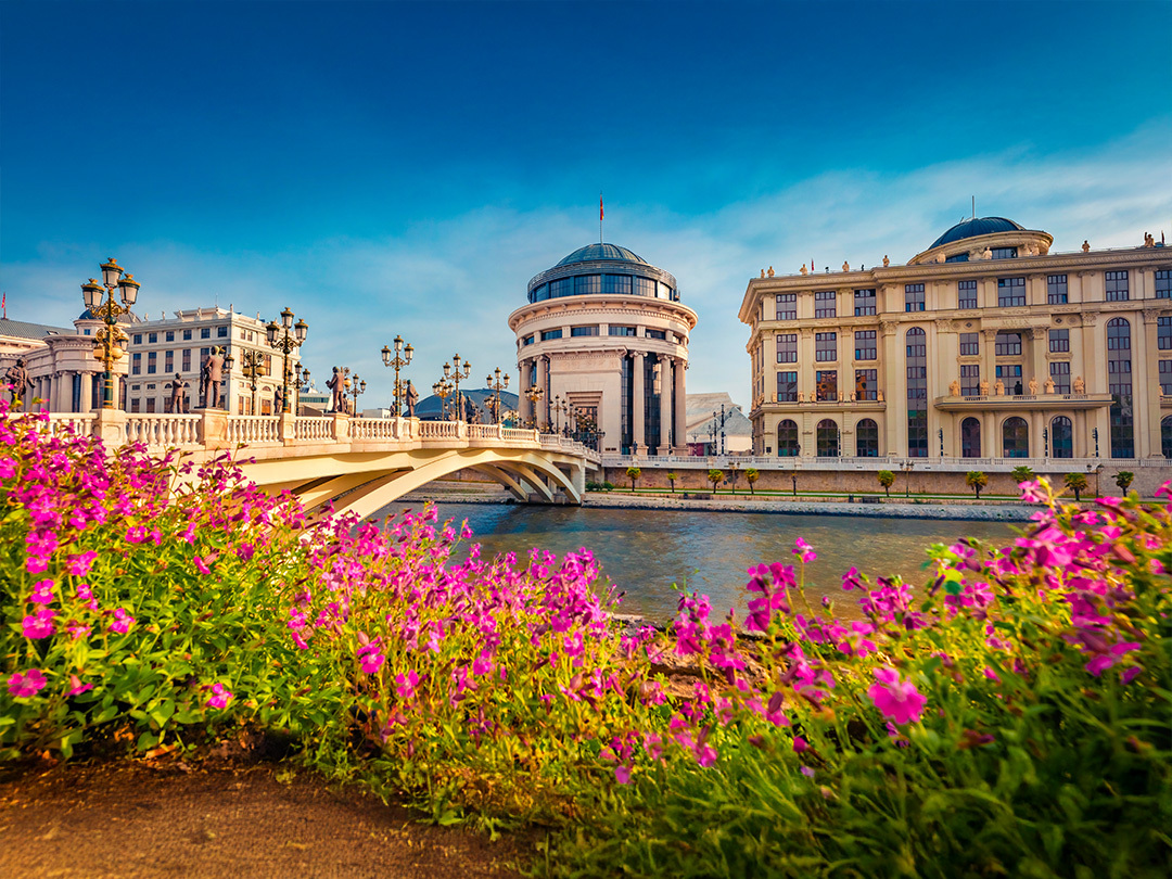 The city skyline of Skopje and the river in the front with fuchsia pink flowers in front of the river. It is the evening with a blue and clouded sky. There is a electric teal and light green neon oval over the photo.