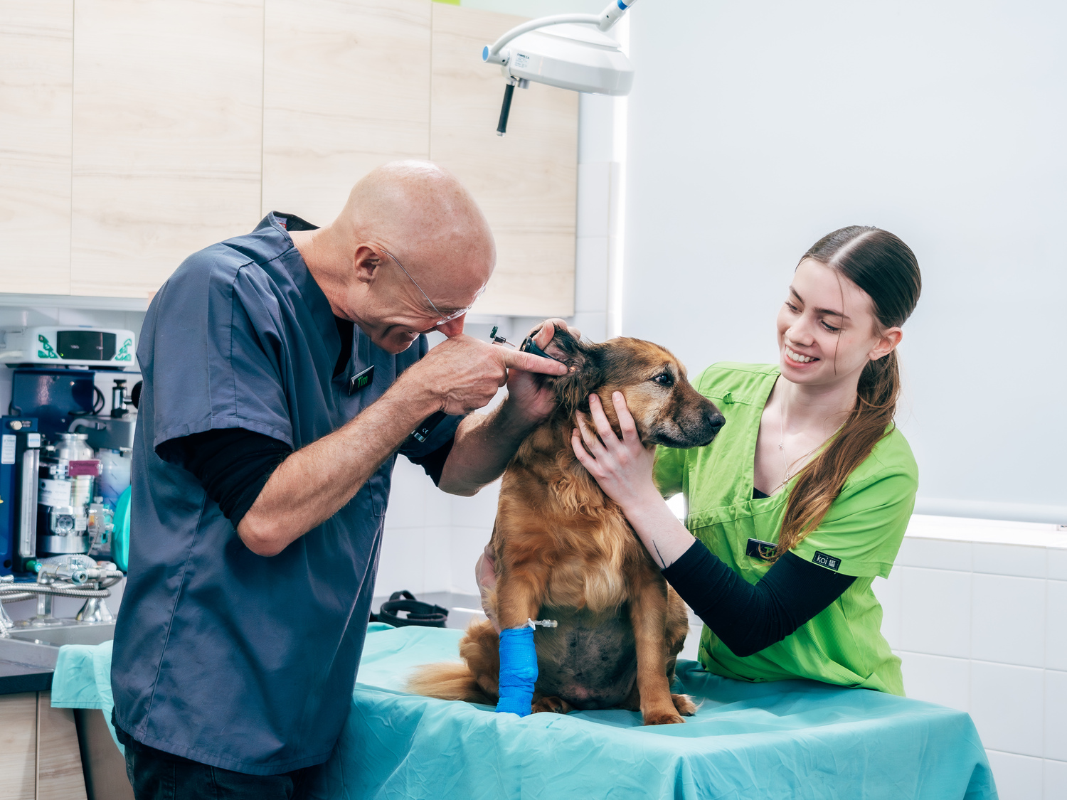 Doctor, Person, Adult, Male, Man, Dog, Female, Woman, Glasses, Veterinarian