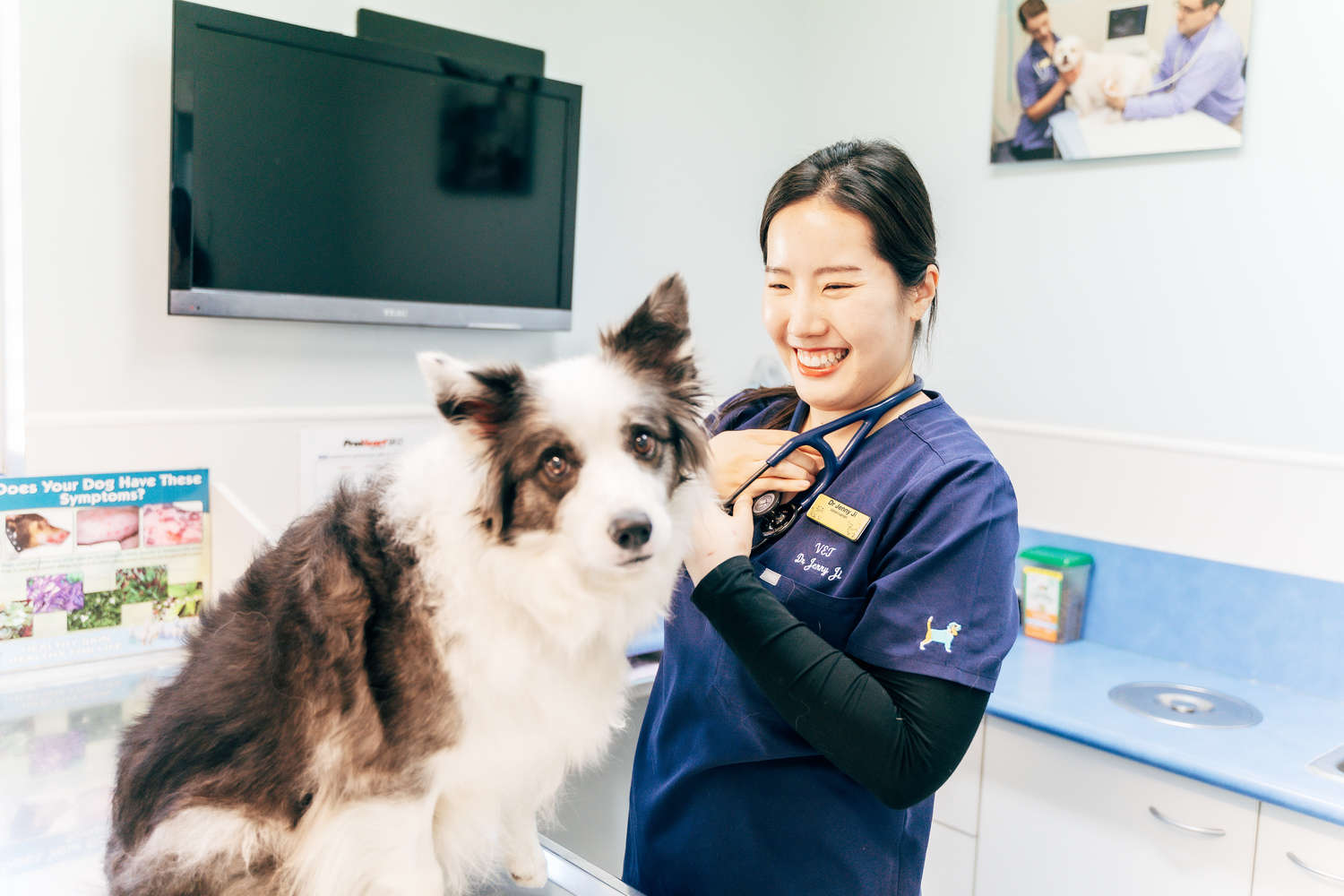 Adult, Female, Person, Woman, Doctor, Dog, Male, Man, Monitor, Veterinarian