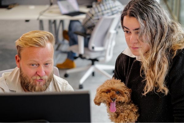 Laptop, Pc, Adult, Female, Person, Woman, Male, Man, Dog, Face