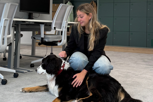 Pants, Furniture, Table, Person, Sitting, Dog, Female, Girl, Teen, Monitor