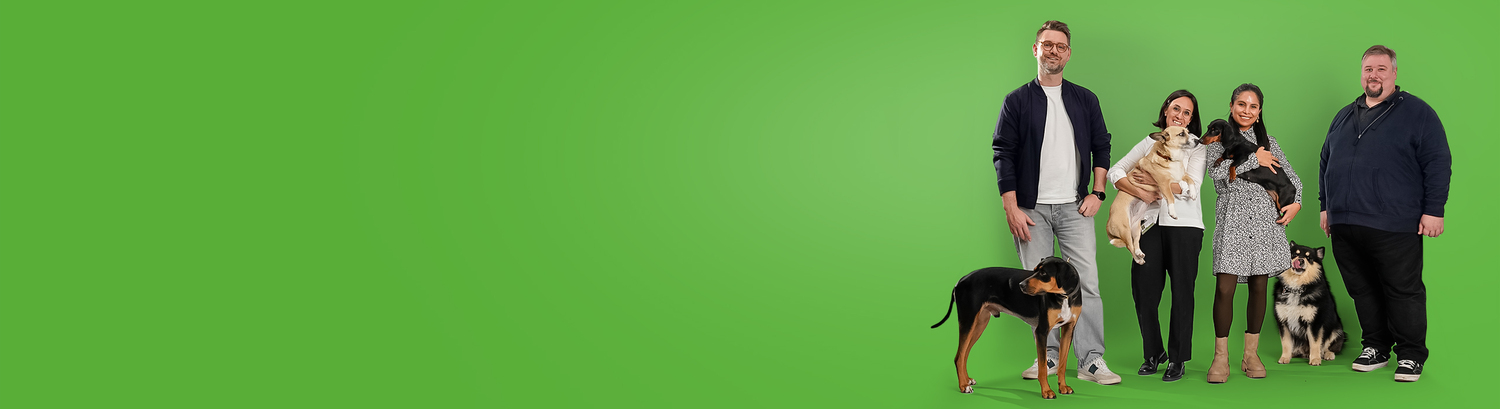 Person, Canine, Dog, Mammal, Pet, Shoe, People, Hound, Coat, Glasses