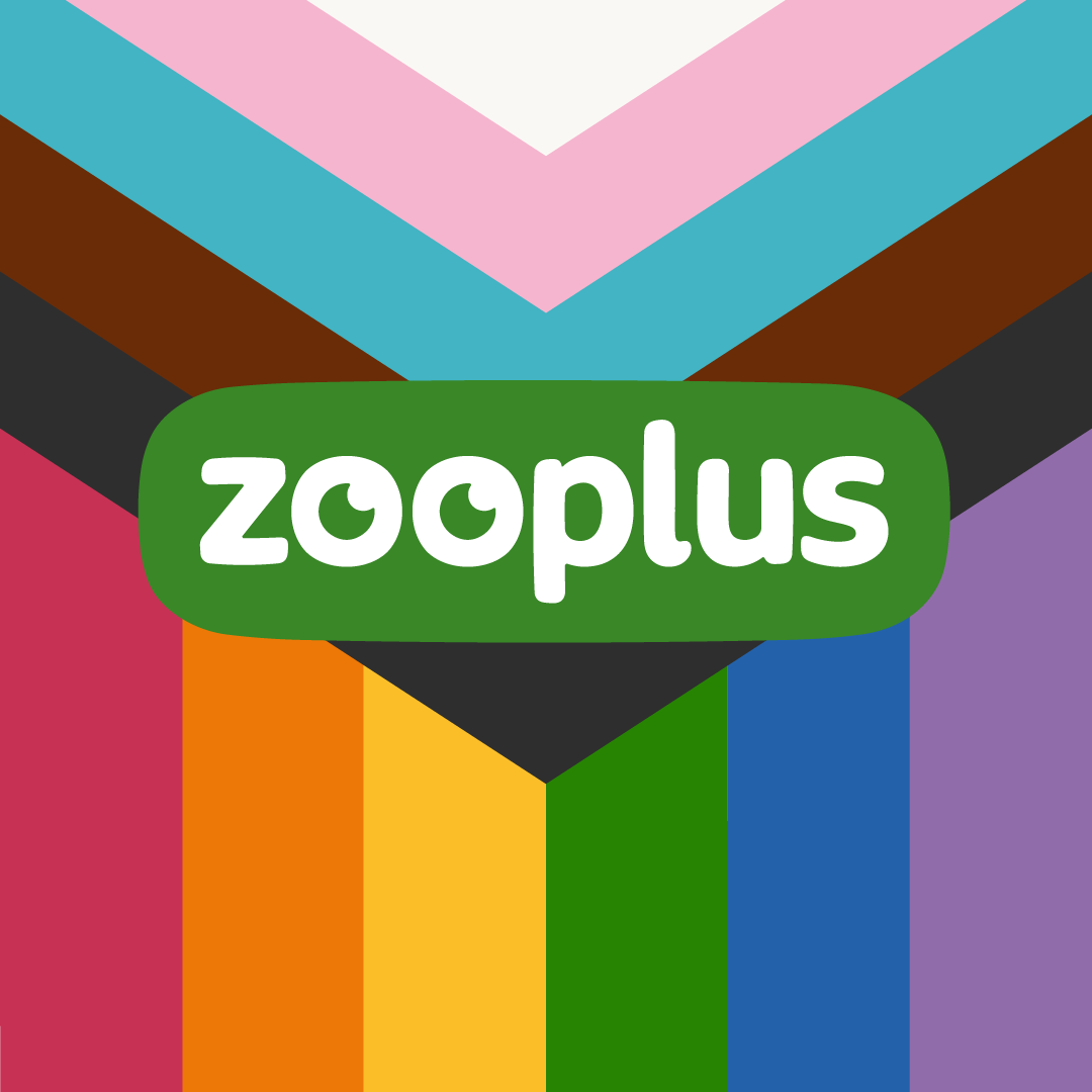 Pride Month Logo