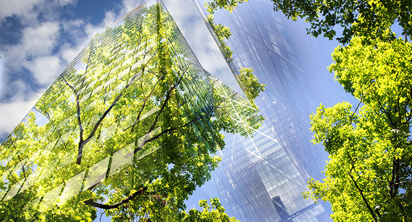 City, Vegetation, Office Building, High Rise, Urban, Leaf, Tree, Metropolis, Garden, Outdoors