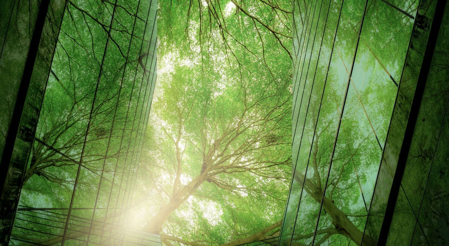 Our commitment to the environment