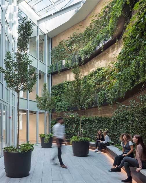 Plant, Potted Plant, Adult, Female, Person, Woman, Male, Man, Garden, Planter